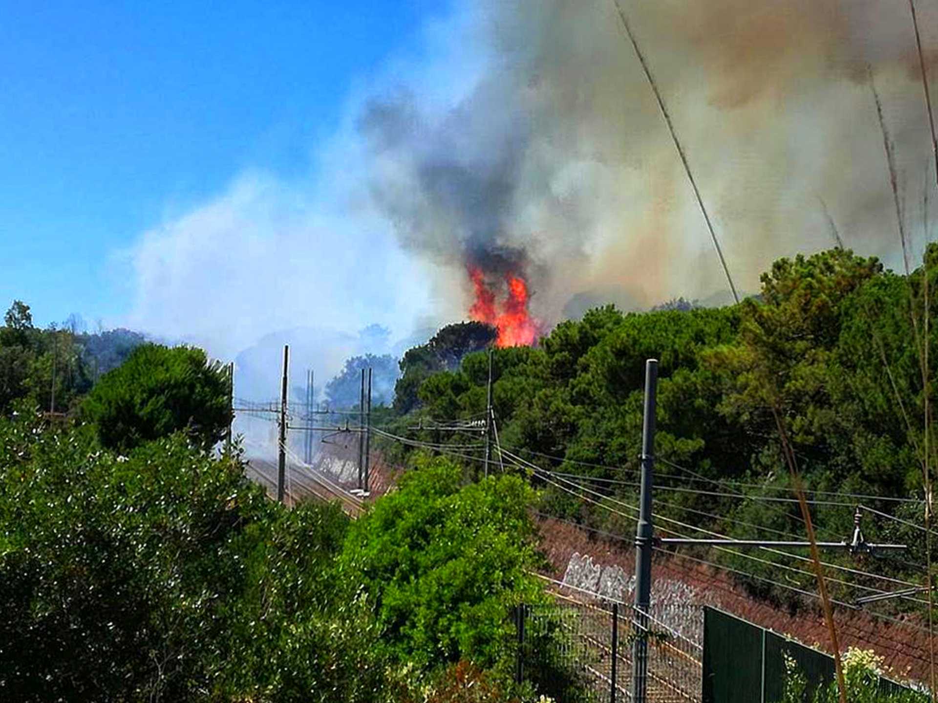 Incendio nella pineta di Castelfusano di Ostia
